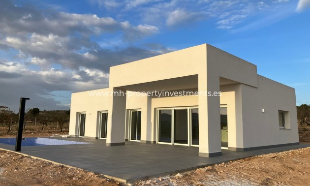 detached - New Build - Pinoso - Pinoso