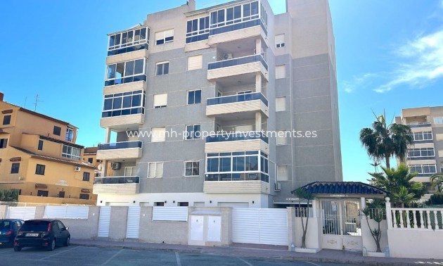 ground-floor - Nouvelle construction - Torrevieja - Torrevieja