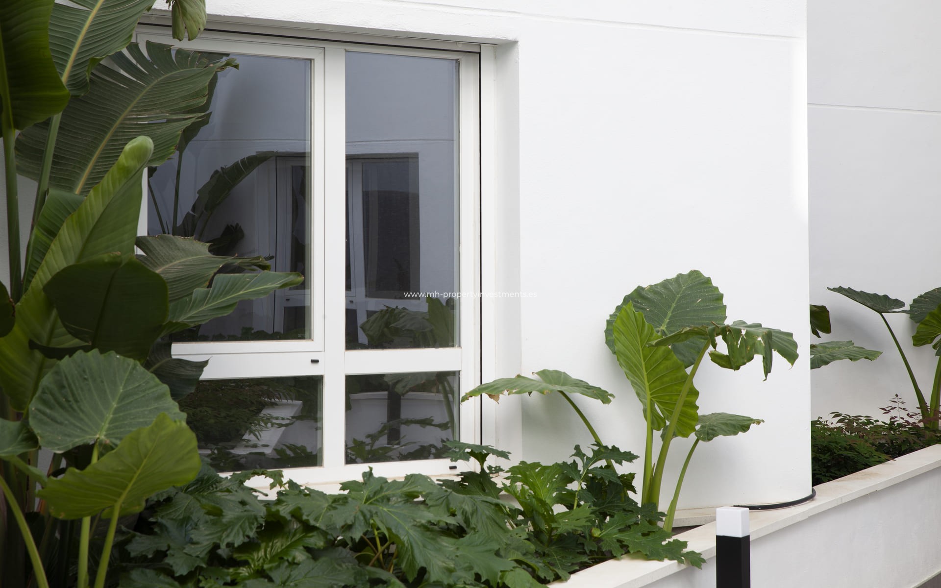 Neubau - ground-floor - Torrox Costa