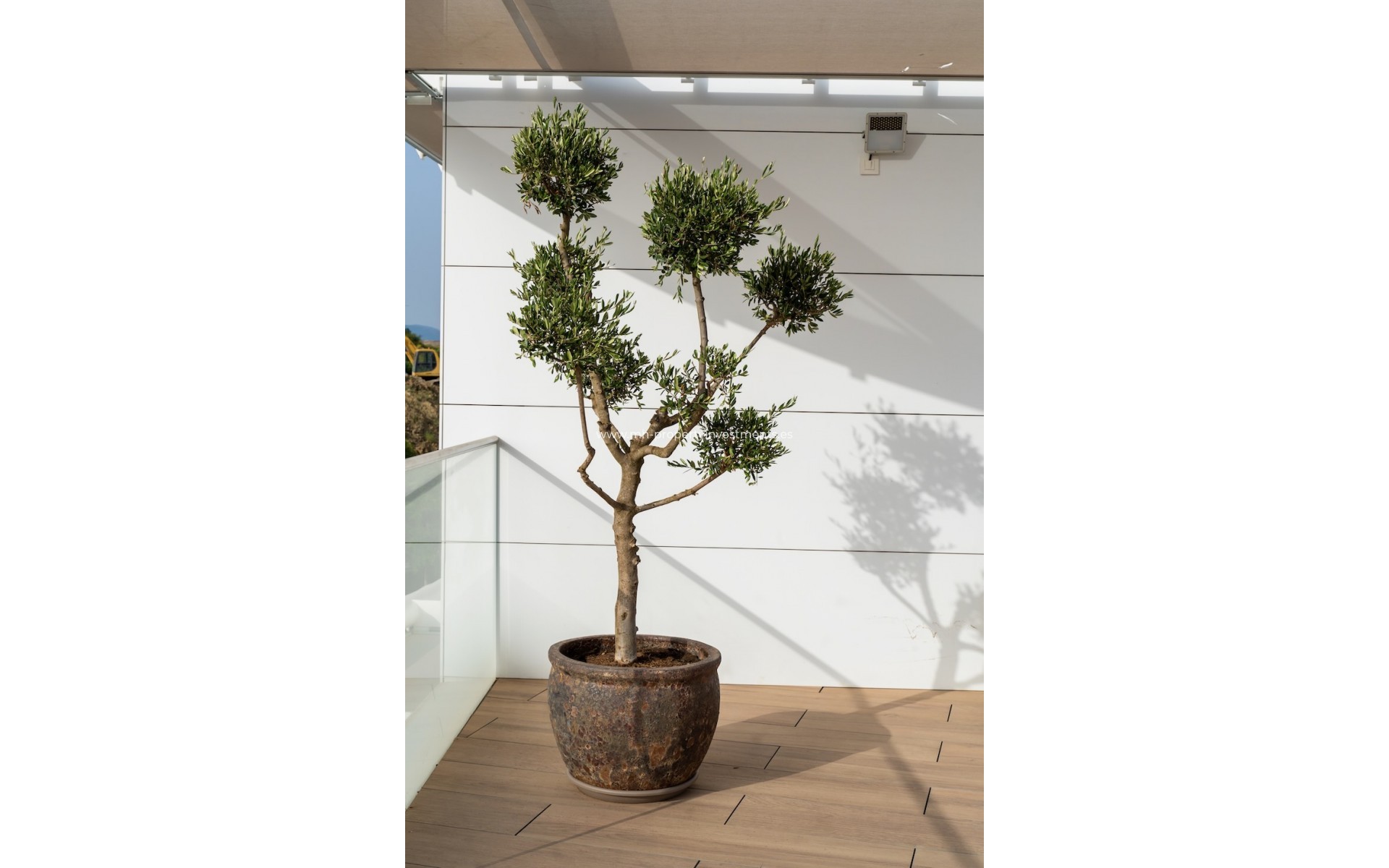 Neubau - penthouse - Estepona