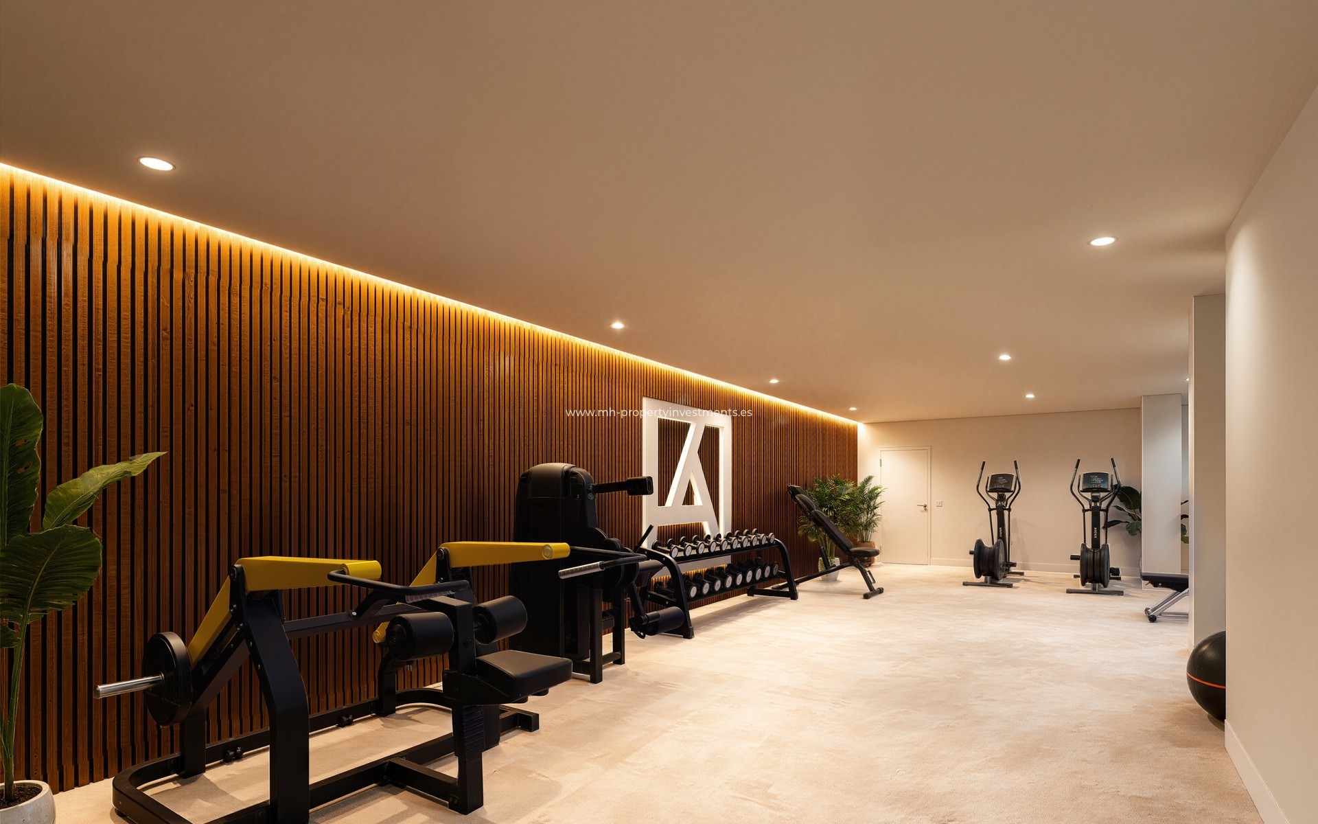 Neubau - penthouse - Los Alcázares