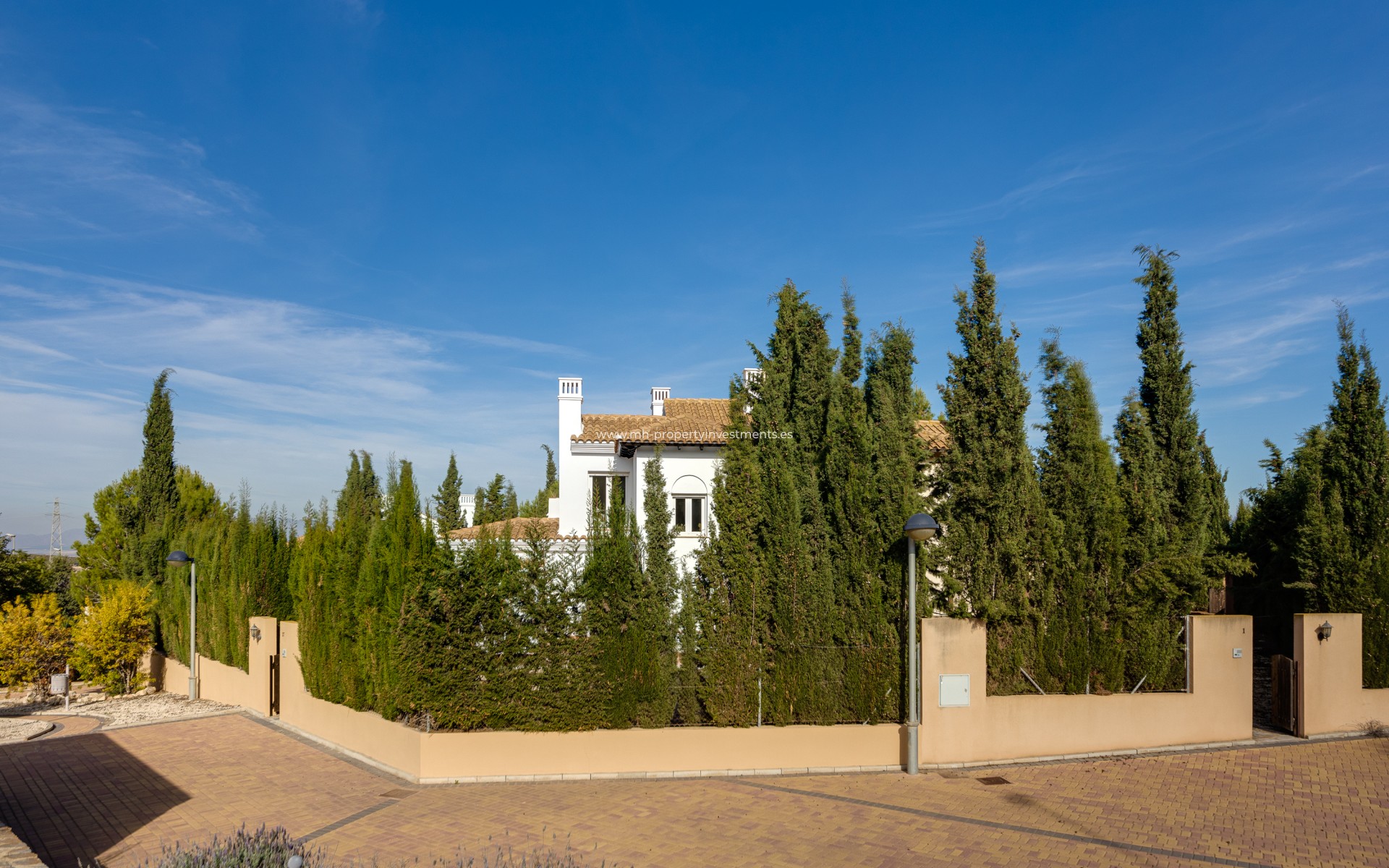 New Build - detached - Fuente Álamo - Fuente Alamo