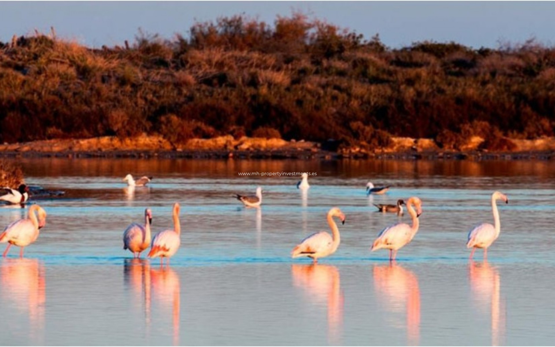 New Build - detached - San Pedro del Pinatar