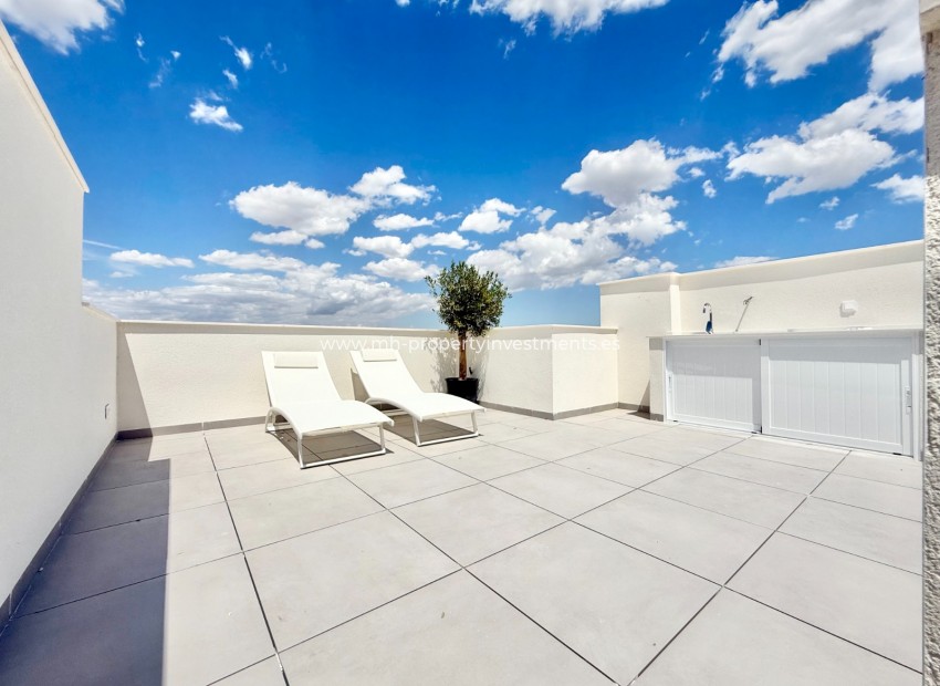 New Build - low-bungalow - Cox