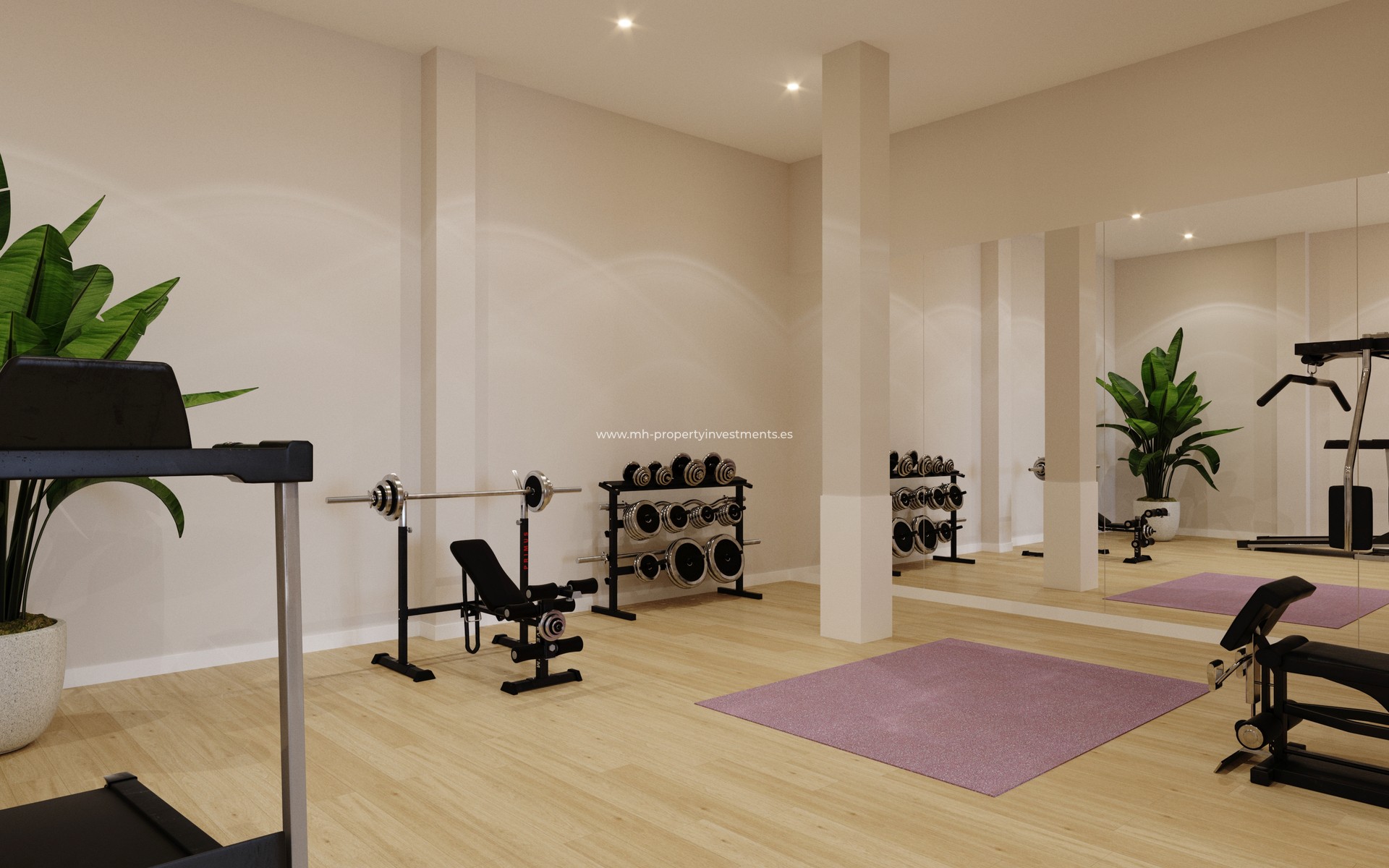 New Build - penthouse - Algorfa