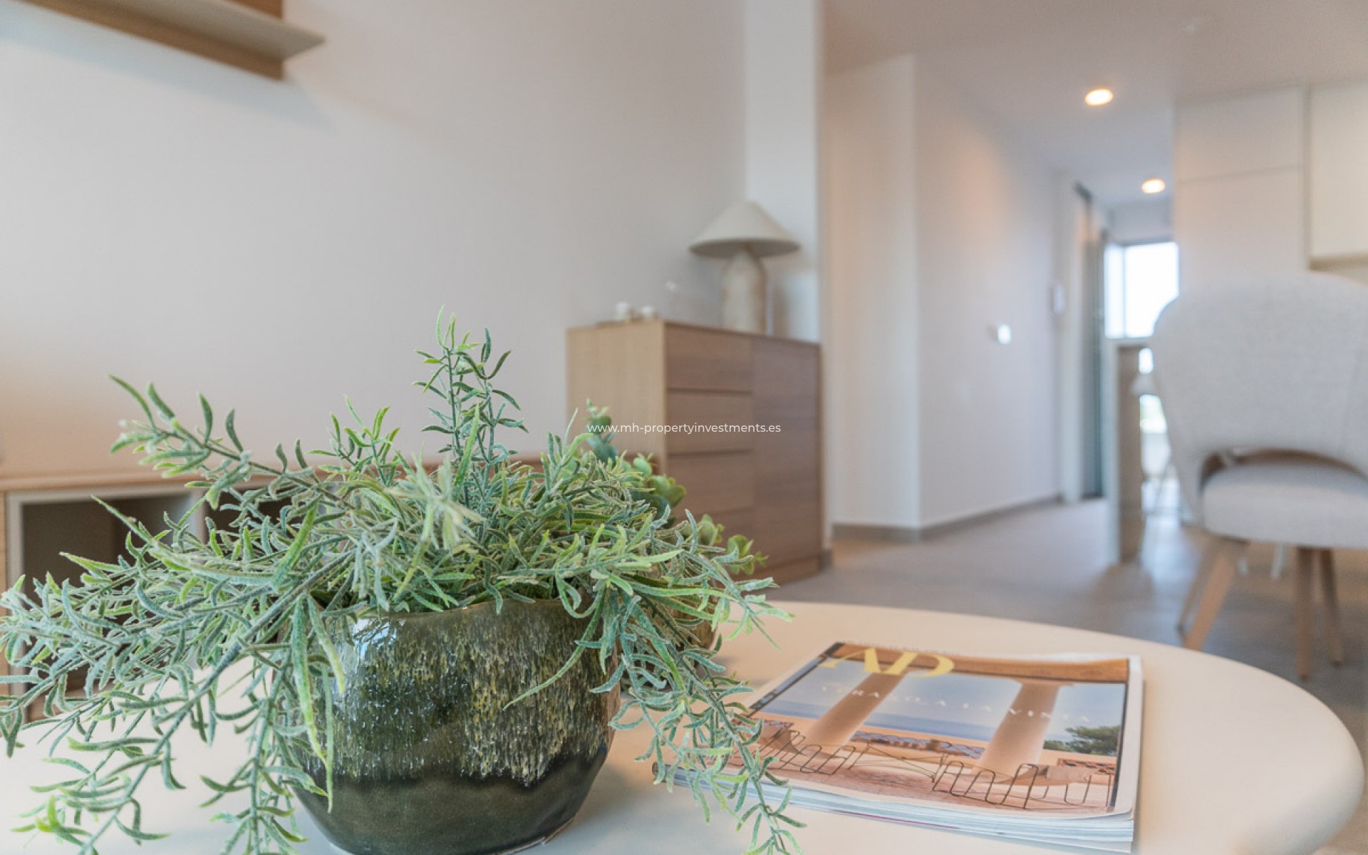 Nouvelle construction - ground-floor - Playa Flamenca