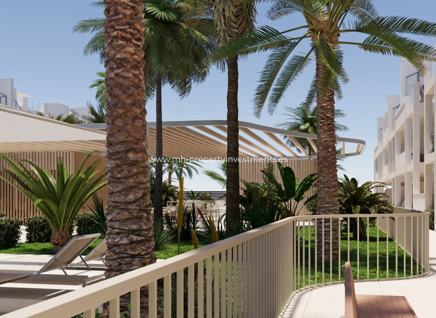 Nouvelle construction - ground-floor - Torre-Pacheco