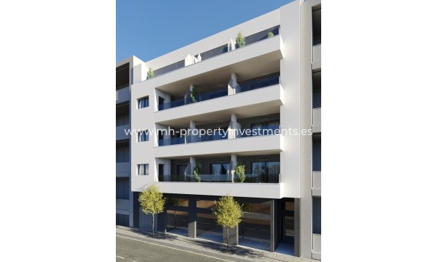 penthouse - New Build - Torrevieja - HHA-61484